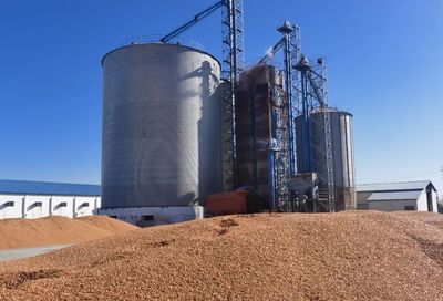 福海縣 科學配制“營養大餐”，助力畜牧業提質增效